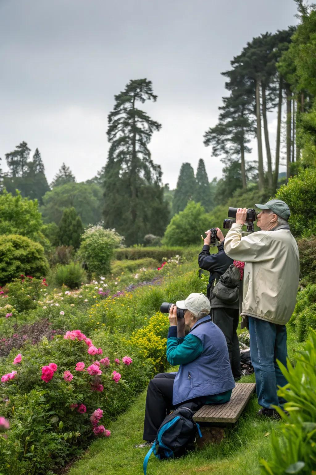 A birdwatching party is a delightful way to share your garden with others.