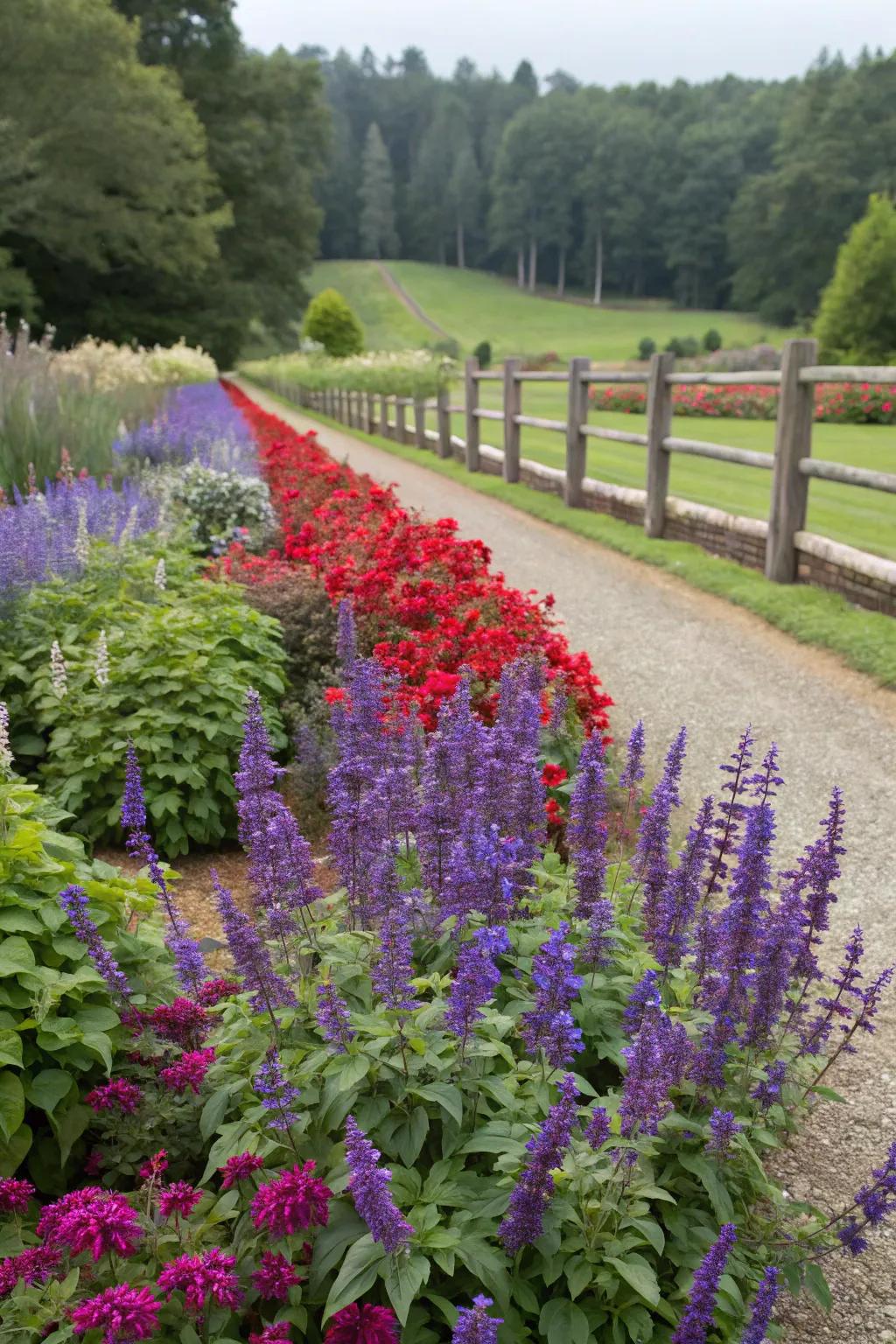 Keep your garden blooming with seasonally timed salvia.