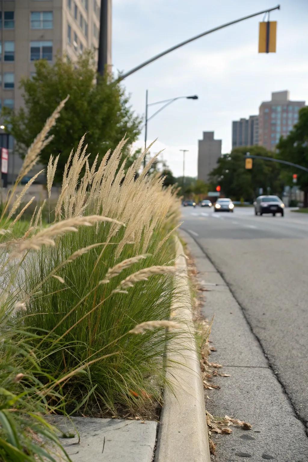 Introduce height with ornamental grasses.