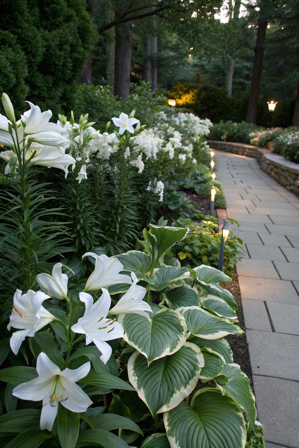 A garden with subtle sophistication featuring whites and greens like lilies and hostas.