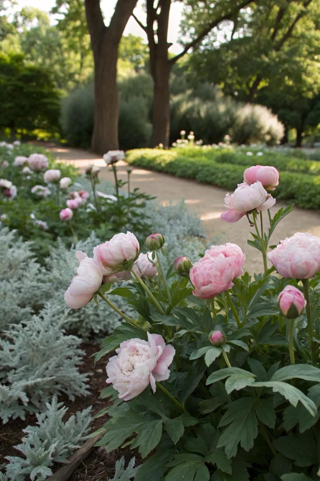 A sophisticated garden with muted tones like dusty pinks and soft grays.
