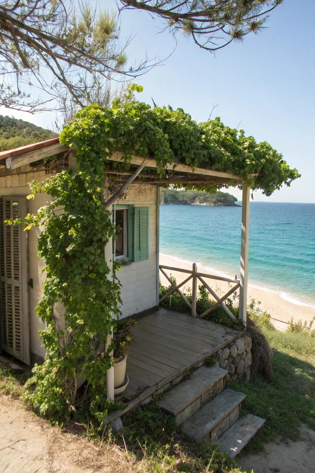 A vine-covered pergola adds natural elegance.