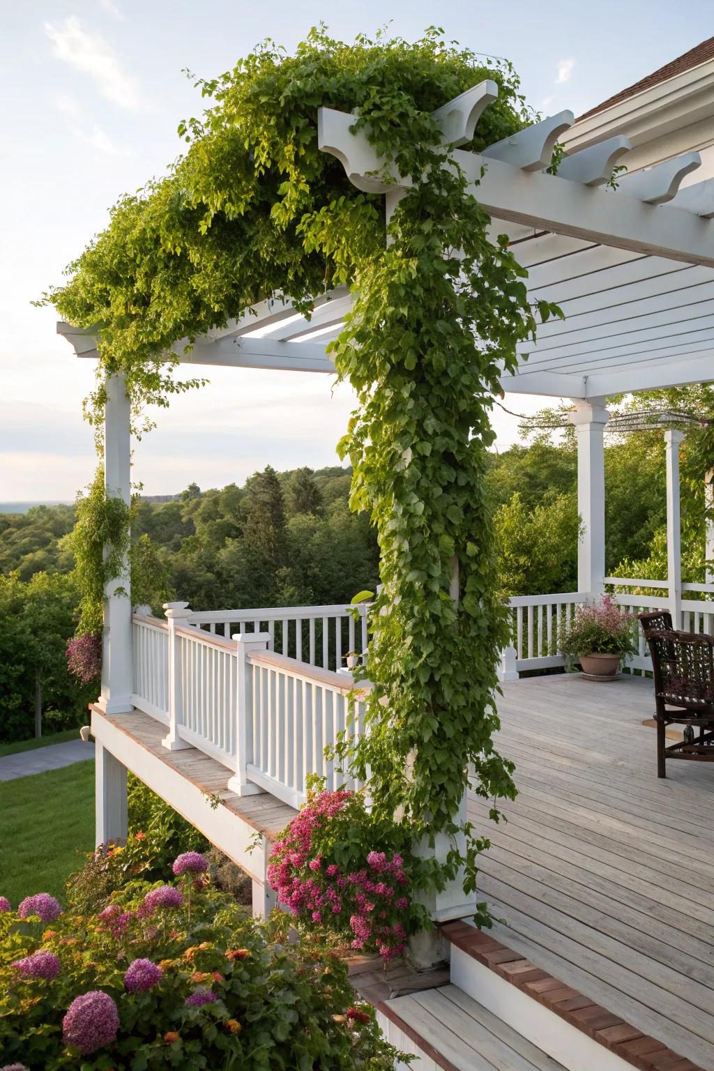 A pergola with climbing plants offers an elegant and natural shade solution.