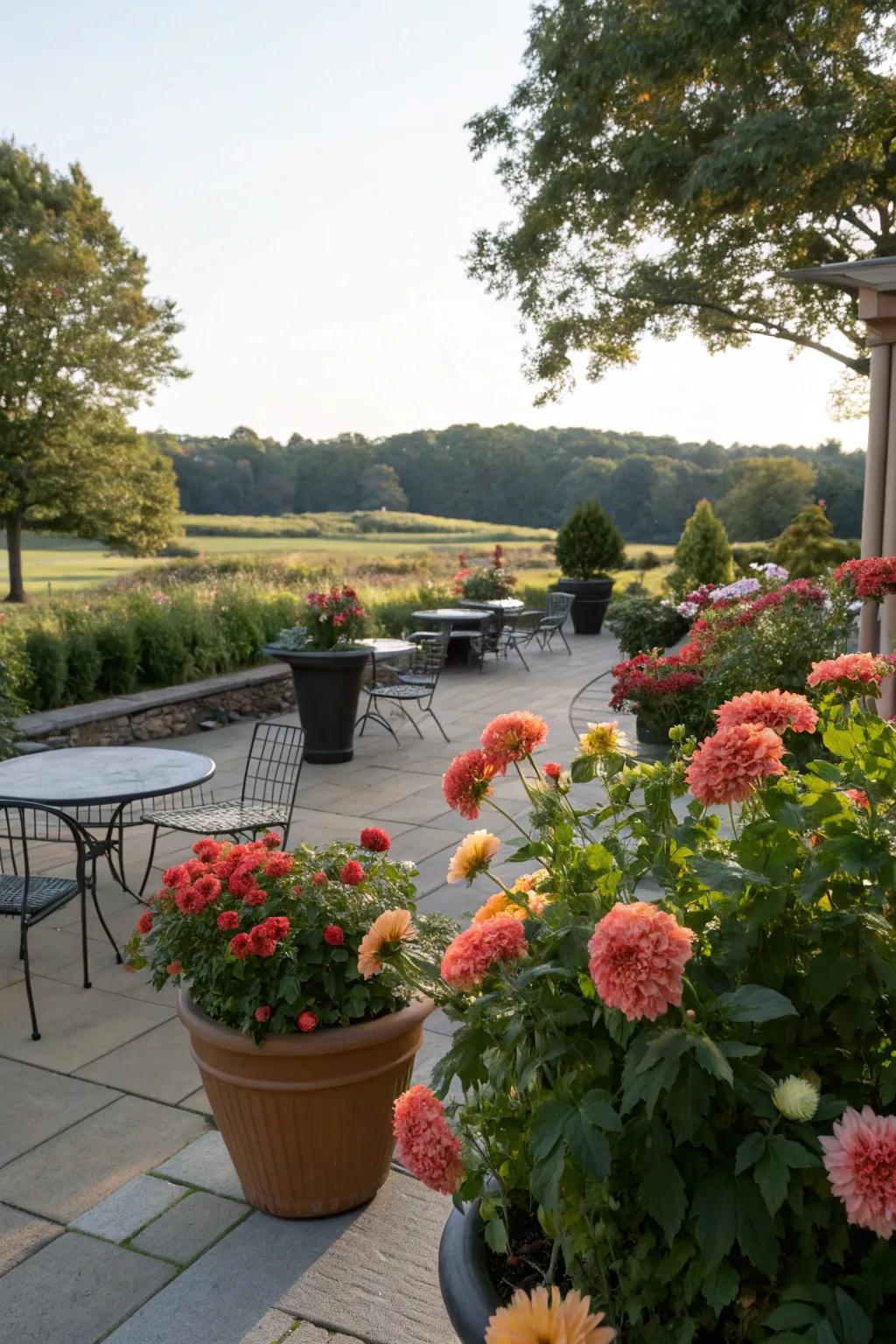 Inviting outdoor space with dahlia accents