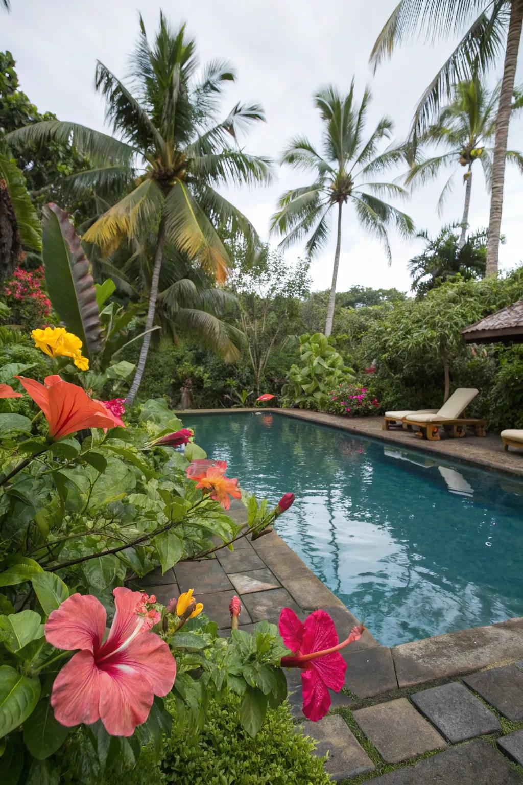 Tropical plants bring the essence of the beach to your pool.