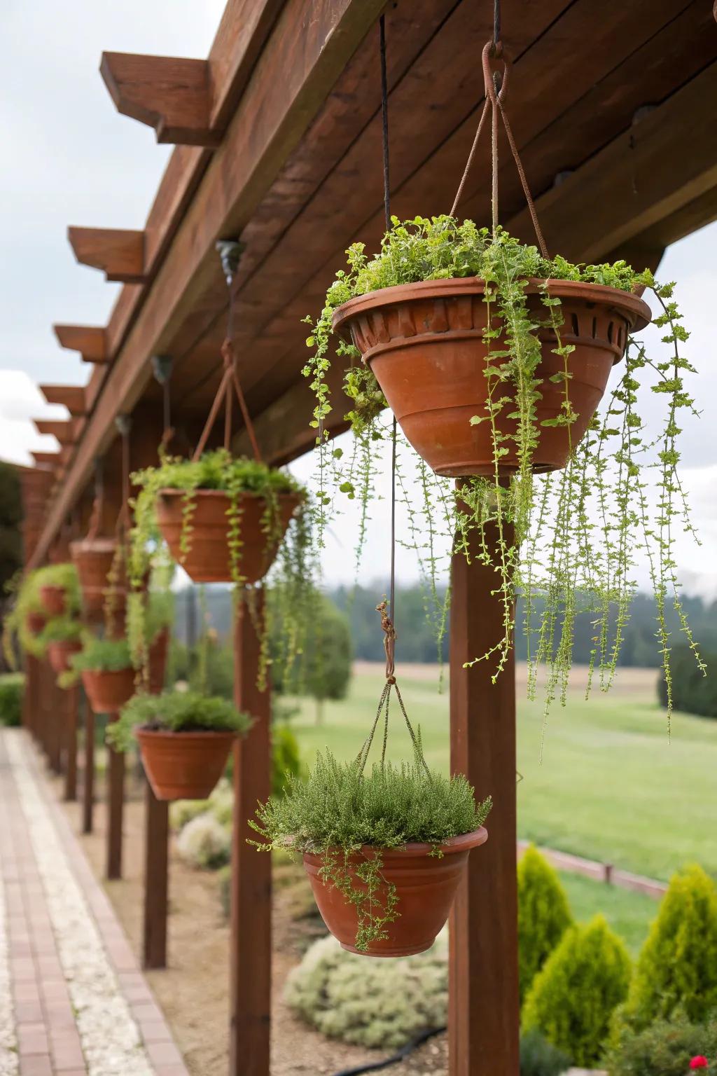 A whimsical hanging garden with terracotta pots suspended from a pergola.