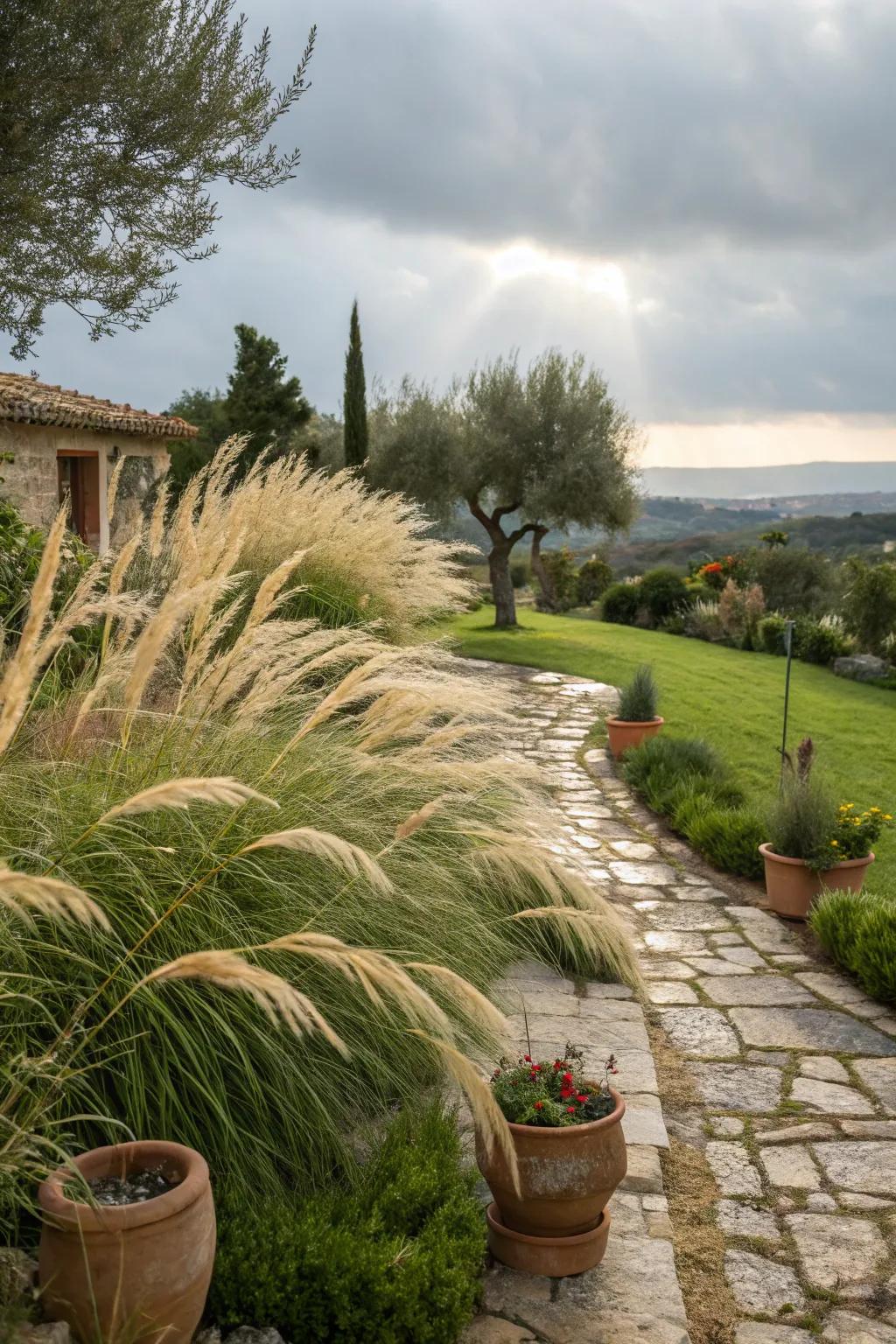 Ornamental grasses bring texture and movement.