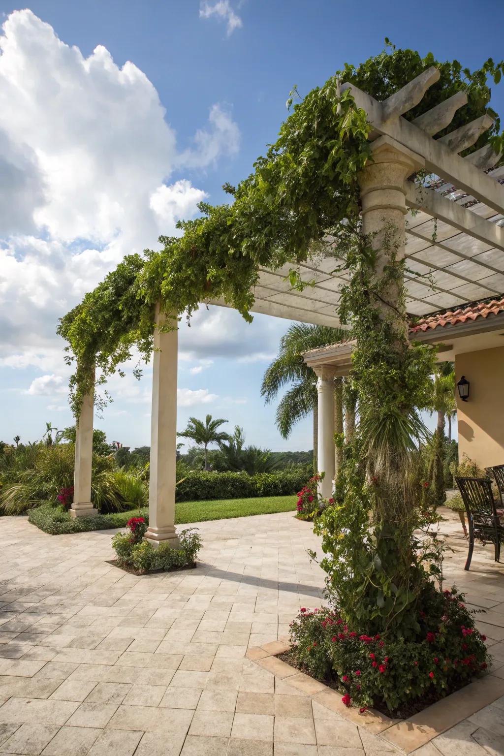 A stylish pergola provides shade and natural beauty.
