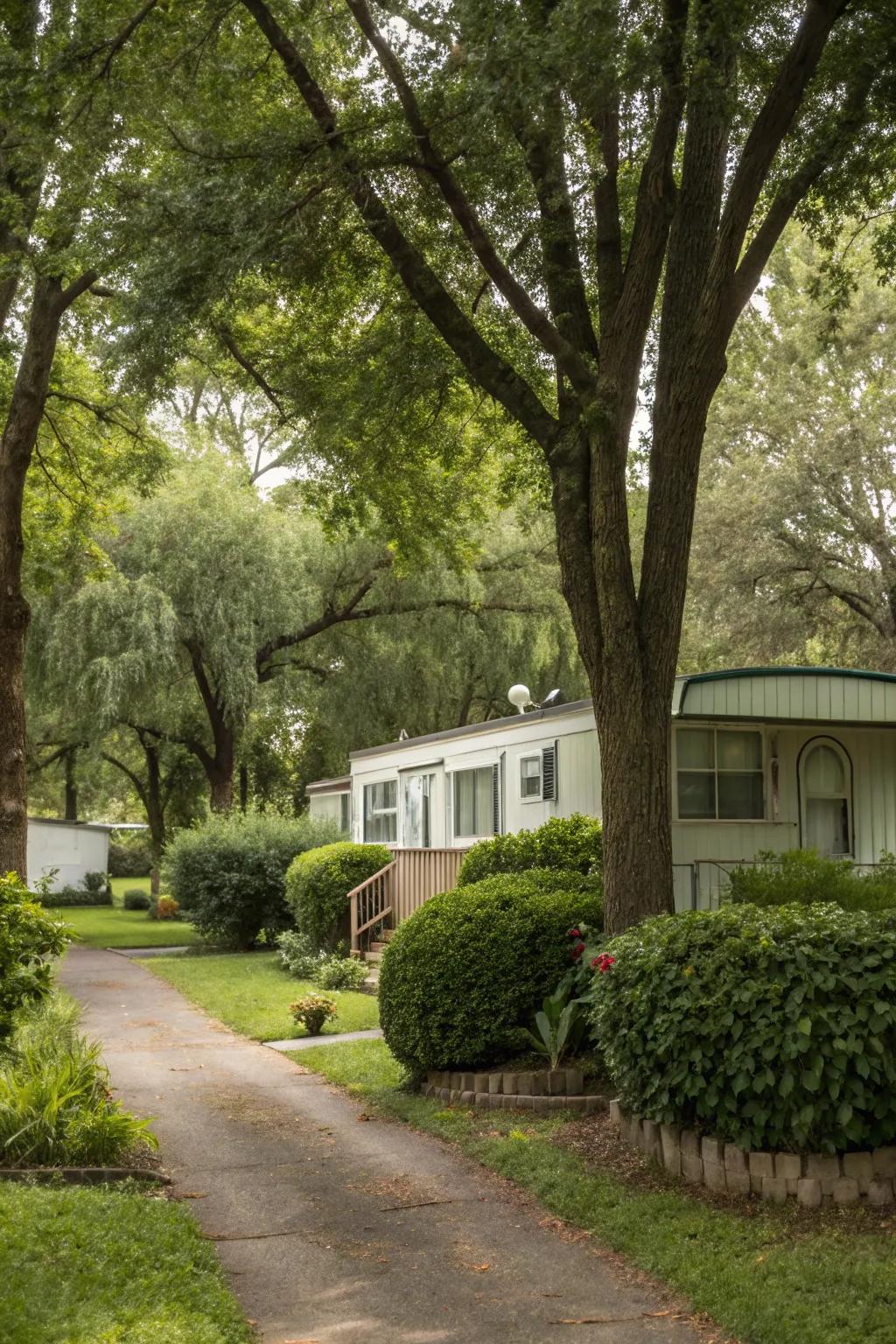 Trees and shrubs add shade and privacy to the yard.
