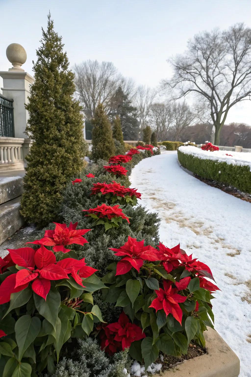Brighten your garden with festive seasonal flower displays.