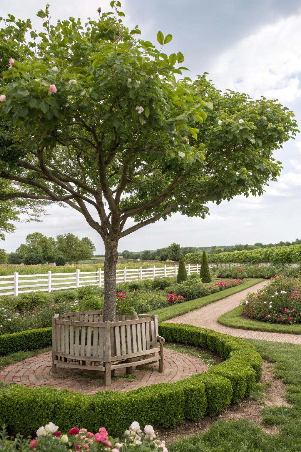 A bench provides a relaxing retreat beneath your tree.