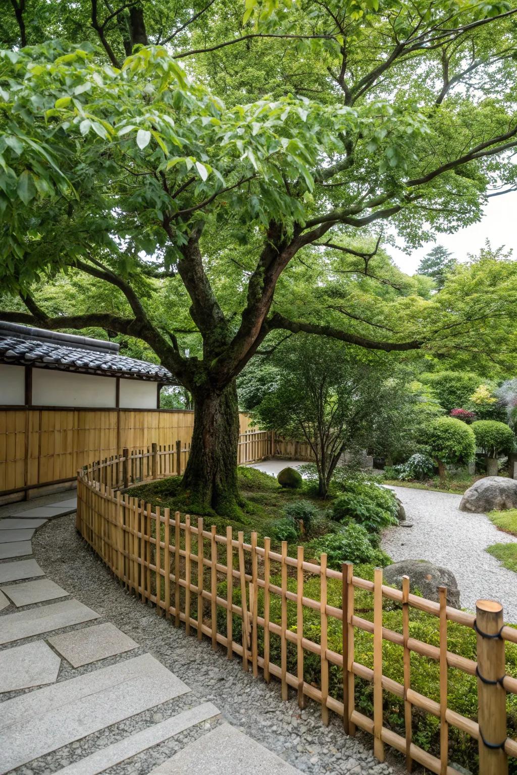 Bamboo fencing offers a serene and natural look.