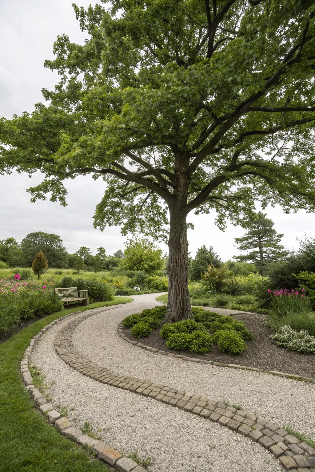 Gravel paths highlight and direct focus to trees.