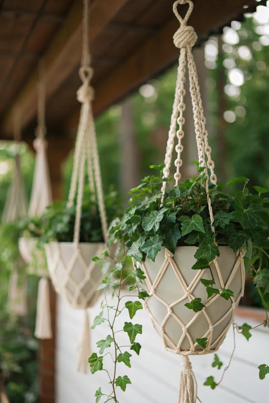 Stylish hanging pots using macrame for trailing plants