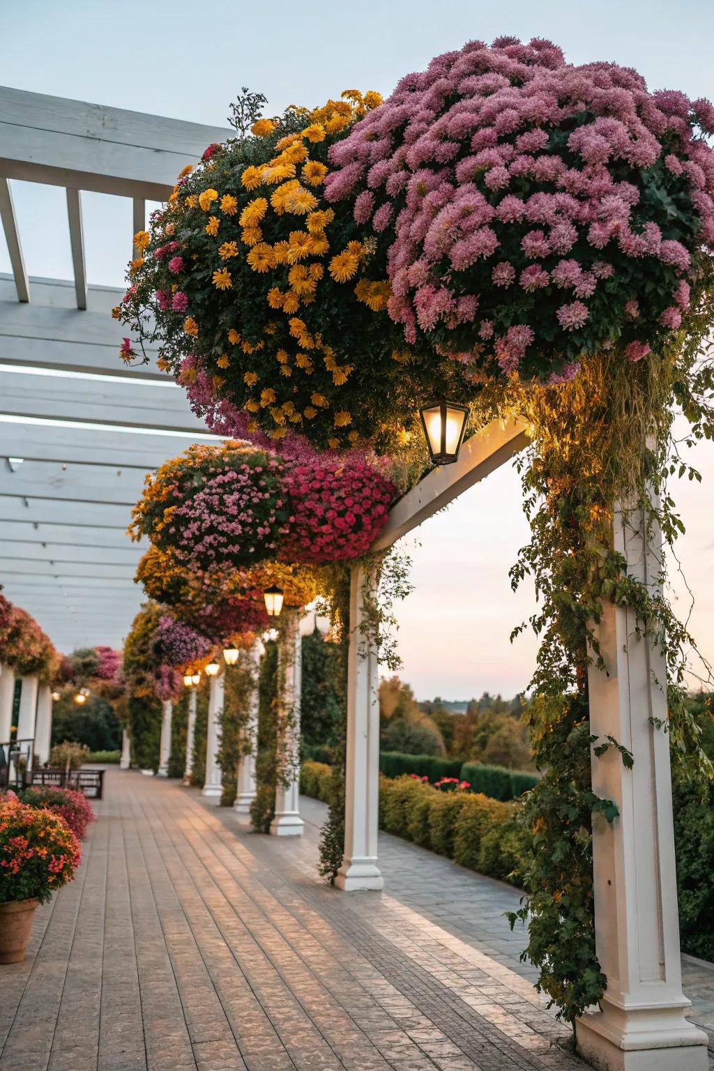 A pergola adorned with chrysanthemums offers a magical garden escape.