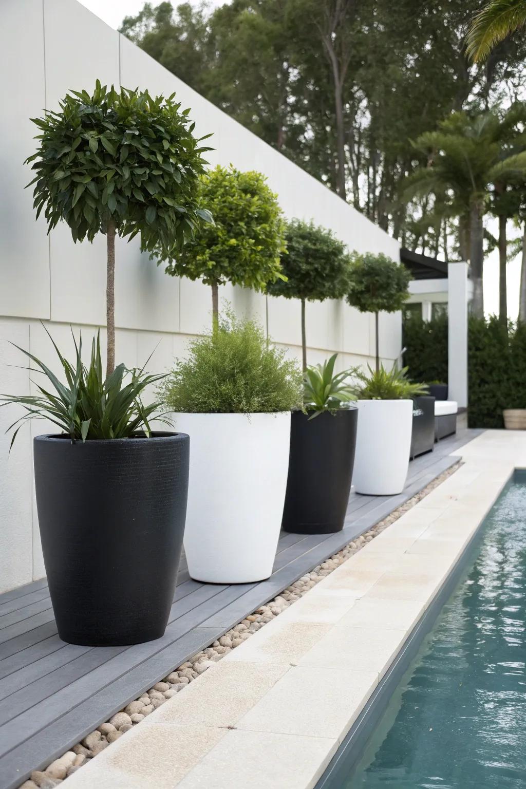 Achieve a sleek and calming aesthetic with monochrome planters.