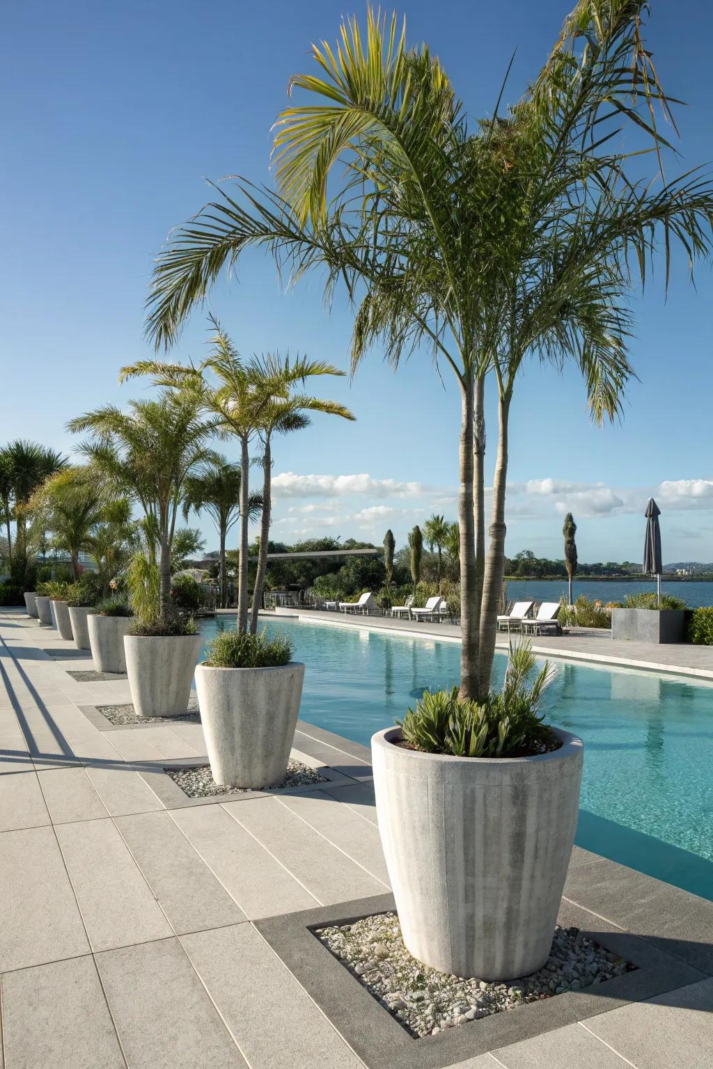 Bring the tropics to your backyard with palm trees in chic planters.