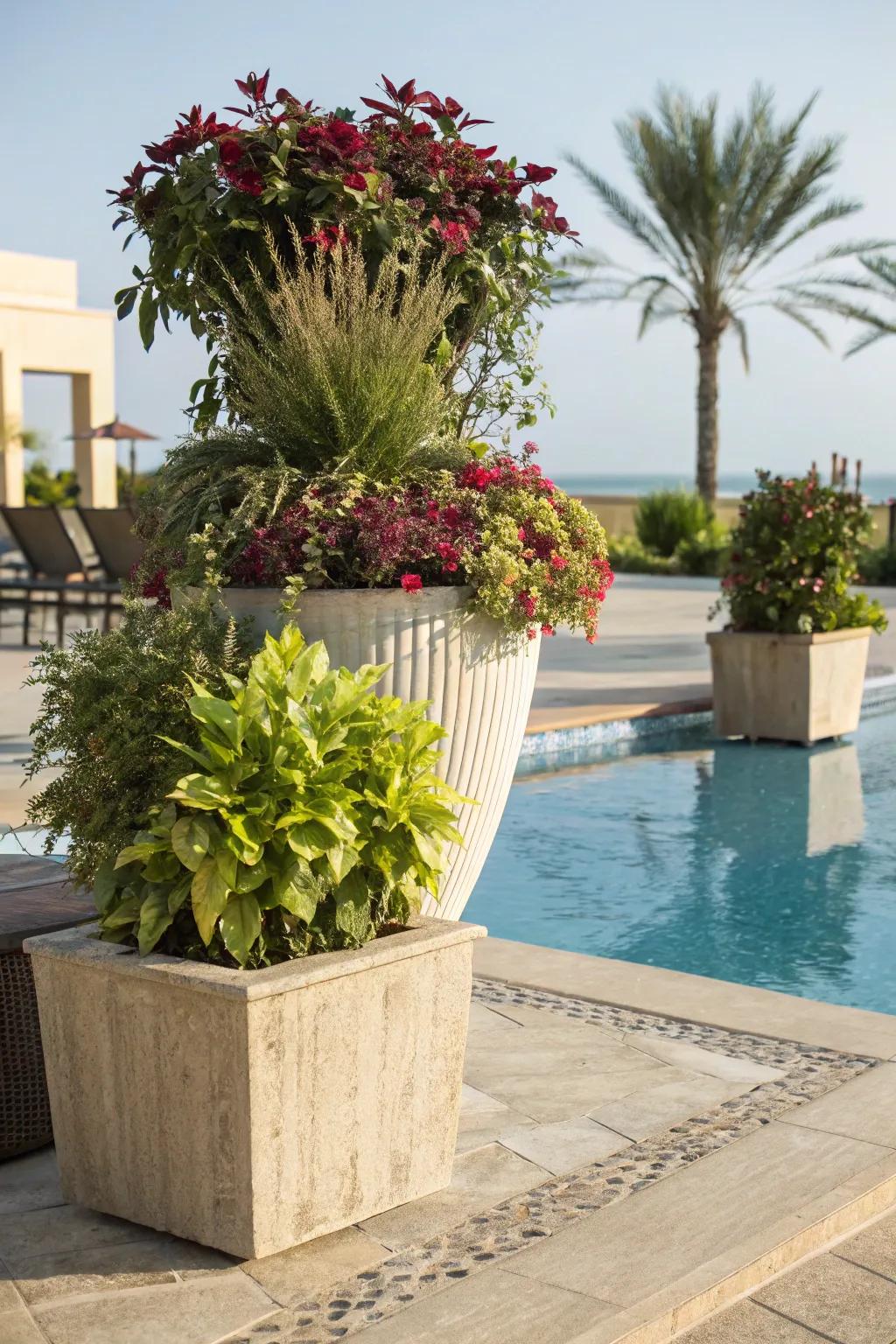Mix foliage textures for an eye-catching poolside display.