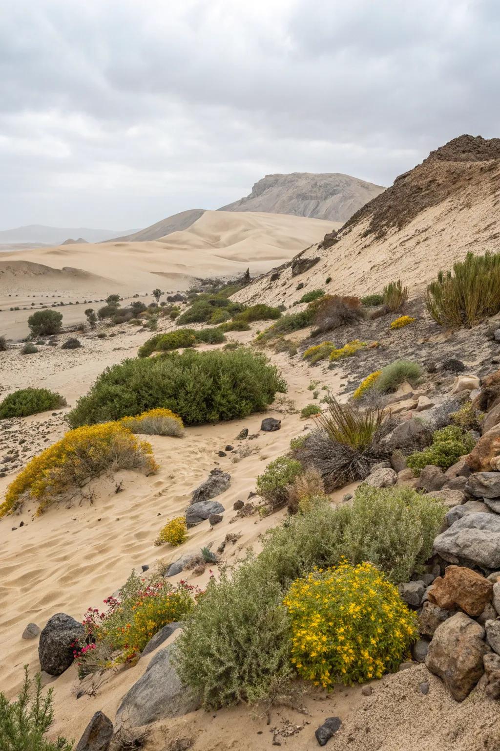 A limited palette enhances garden harmony.