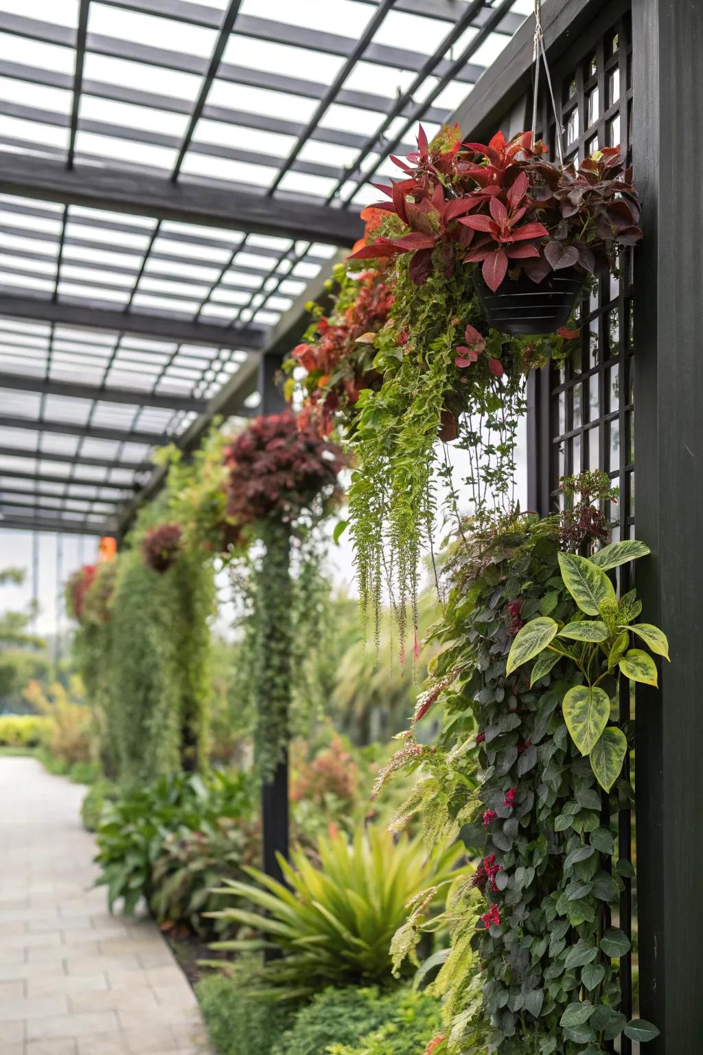 Bring greenery to new heights with hanging plants.