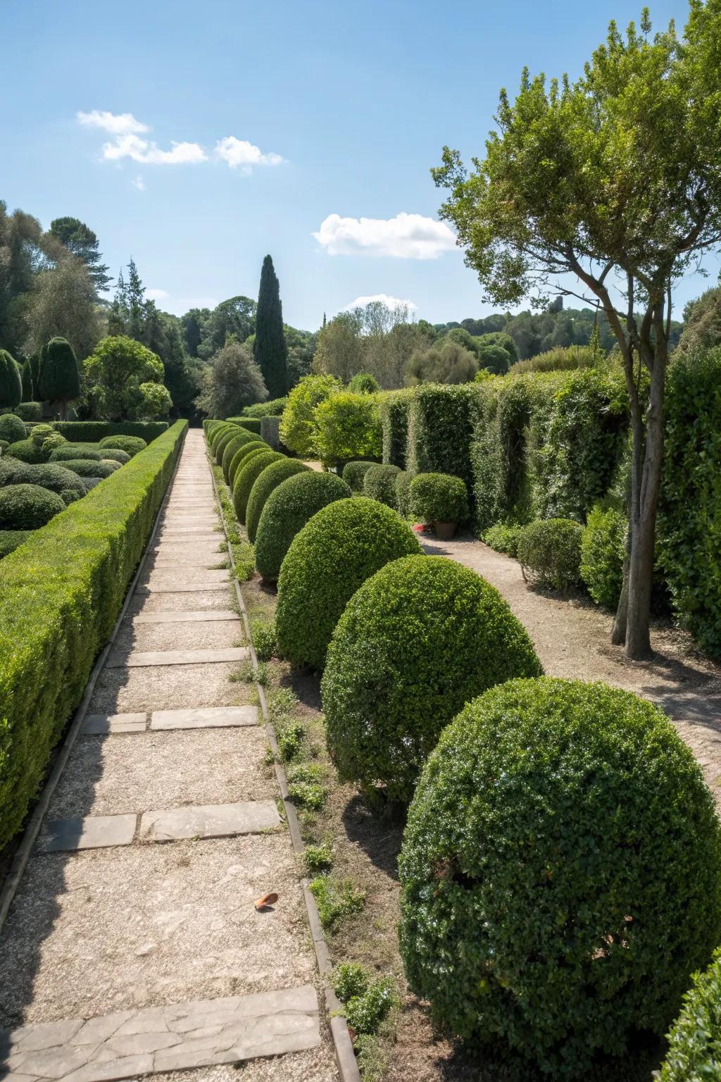 Shrubs define and separate spaces with structured planting.
