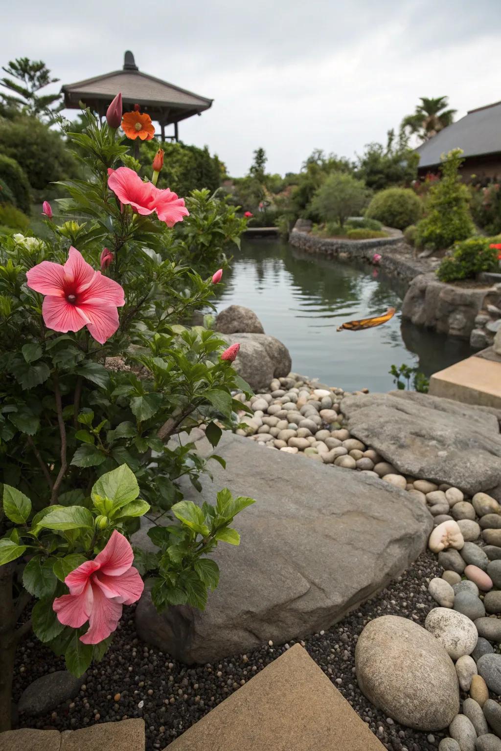 Hibiscus adding a touch of color and tranquility to a Zen garden.