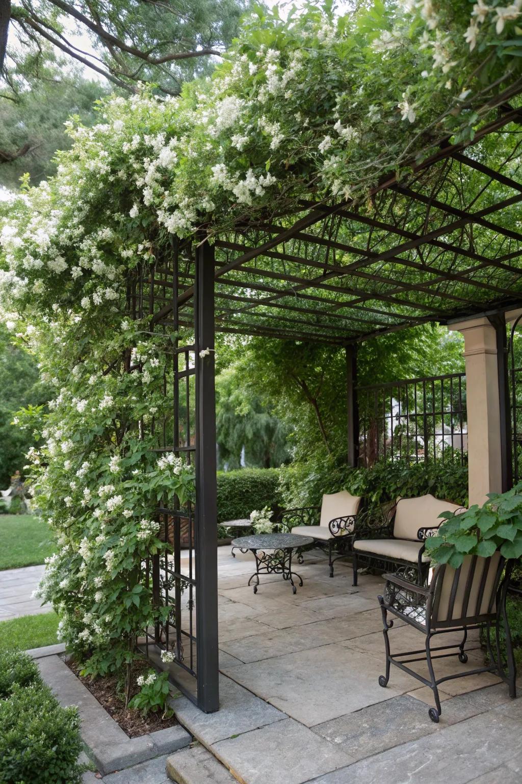 Design intimate seating areas with trellises and climbing plants.