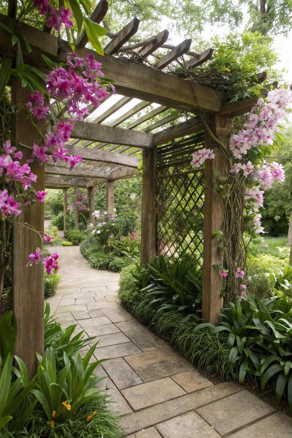 Orchids enhance the beauty of pergolas by adding vibrant blooms.