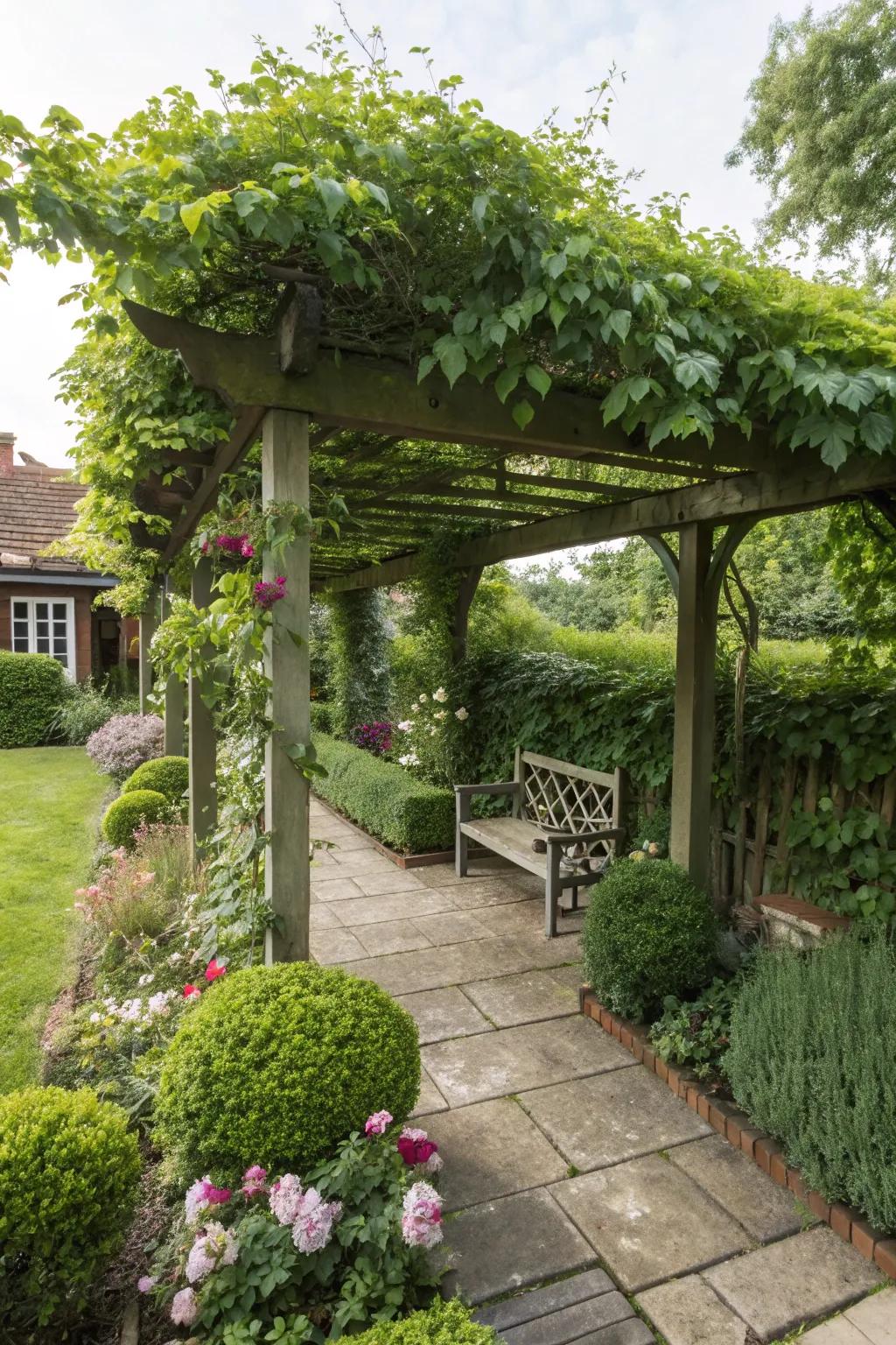 A pergola offers shade and a spot for climbing plants to flourish.