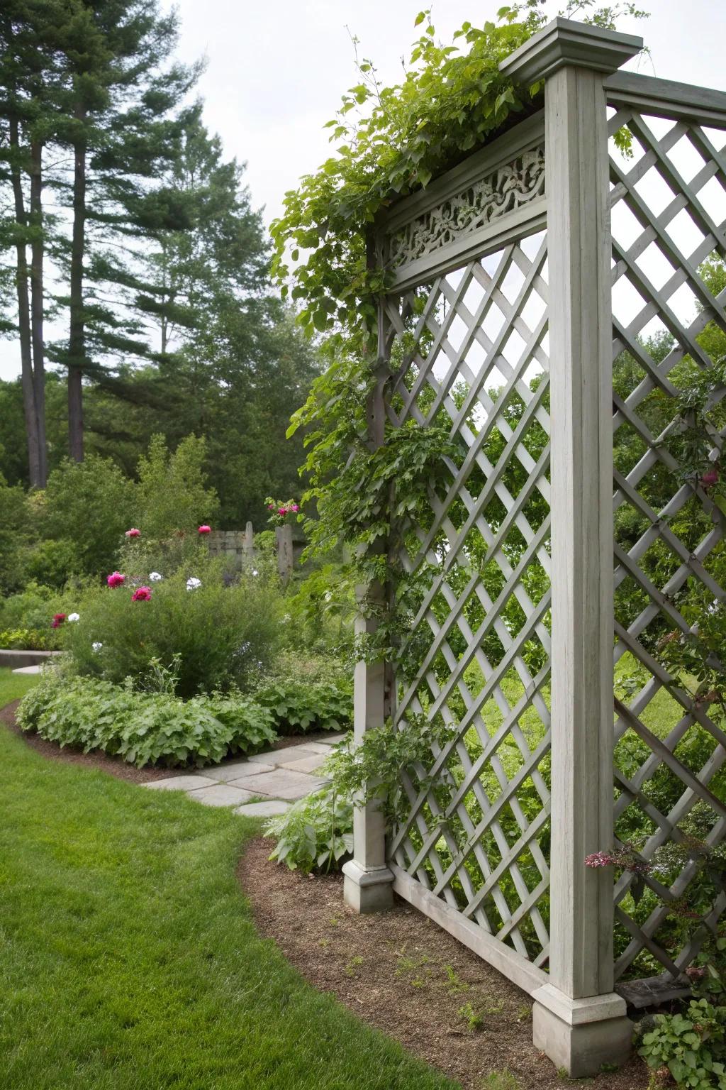 Elegant privacy with a decorative lattice trellis.