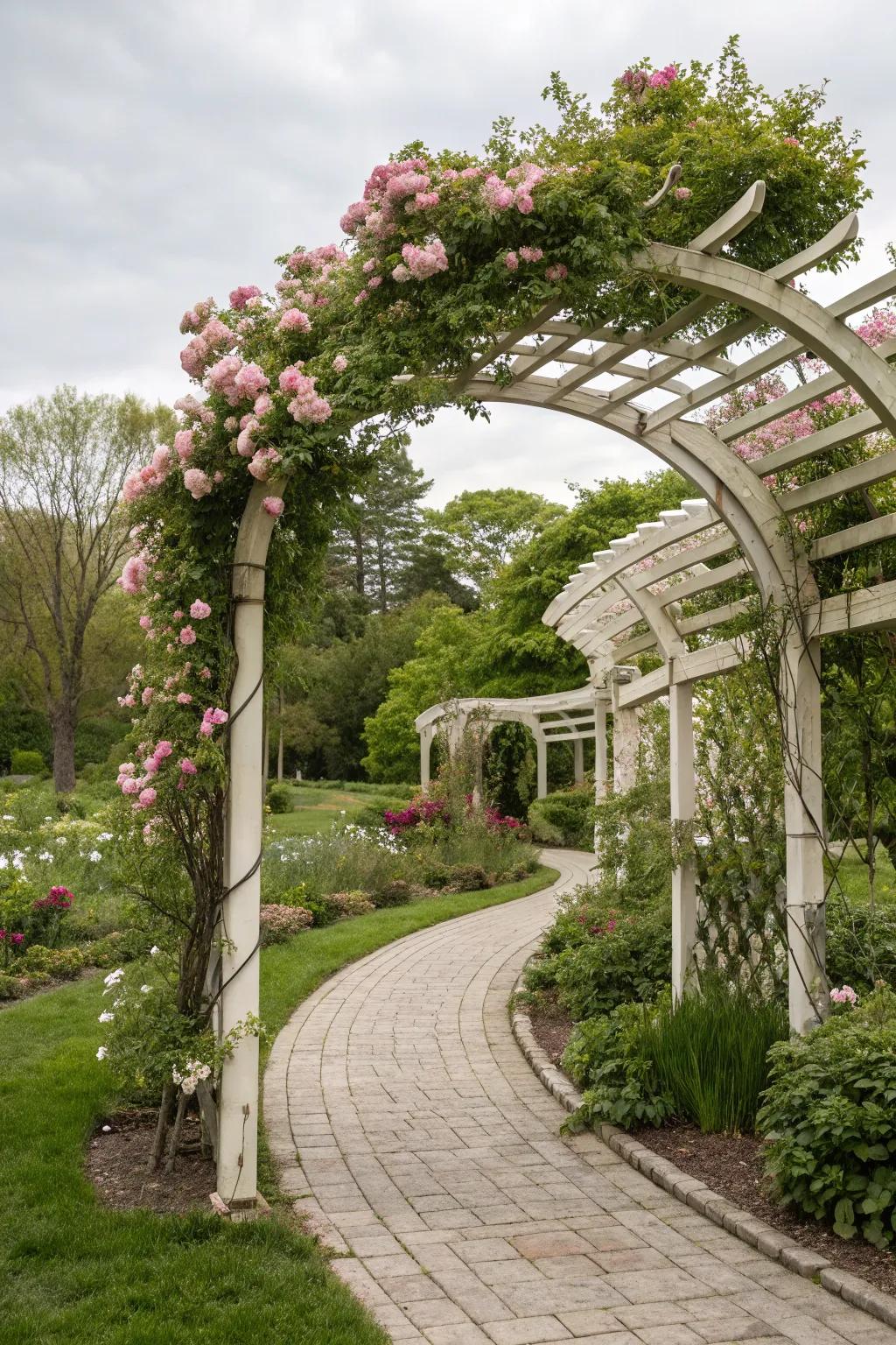 Dynamic design with a curved trellis.