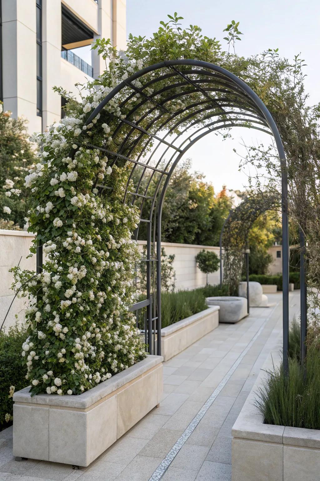 Modern elegance with an arched metal trellis and fragrant jasmine.