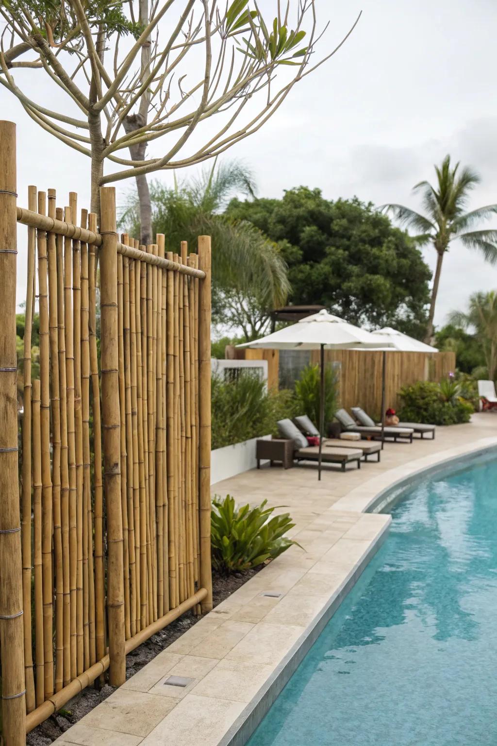 Themed fencing adds structure and style.