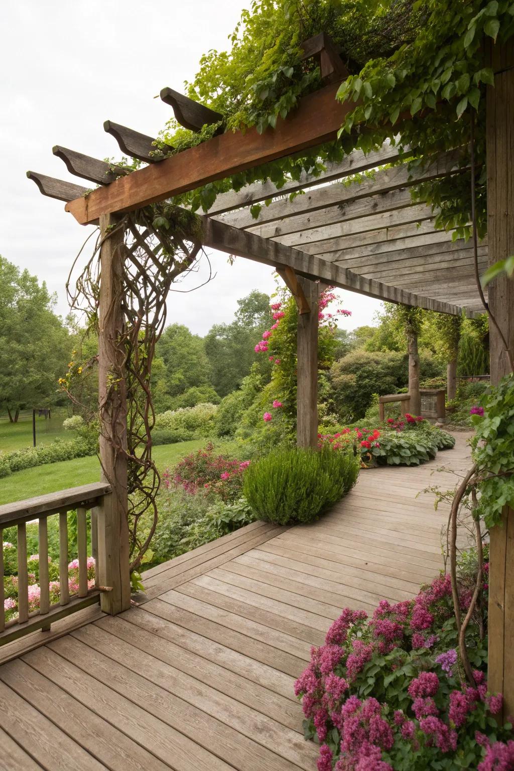 Pergolas add elegance and a natural touch to any deck.