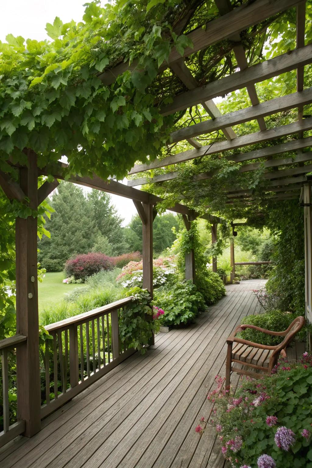 A green canopy turns your deck into a natural retreat.