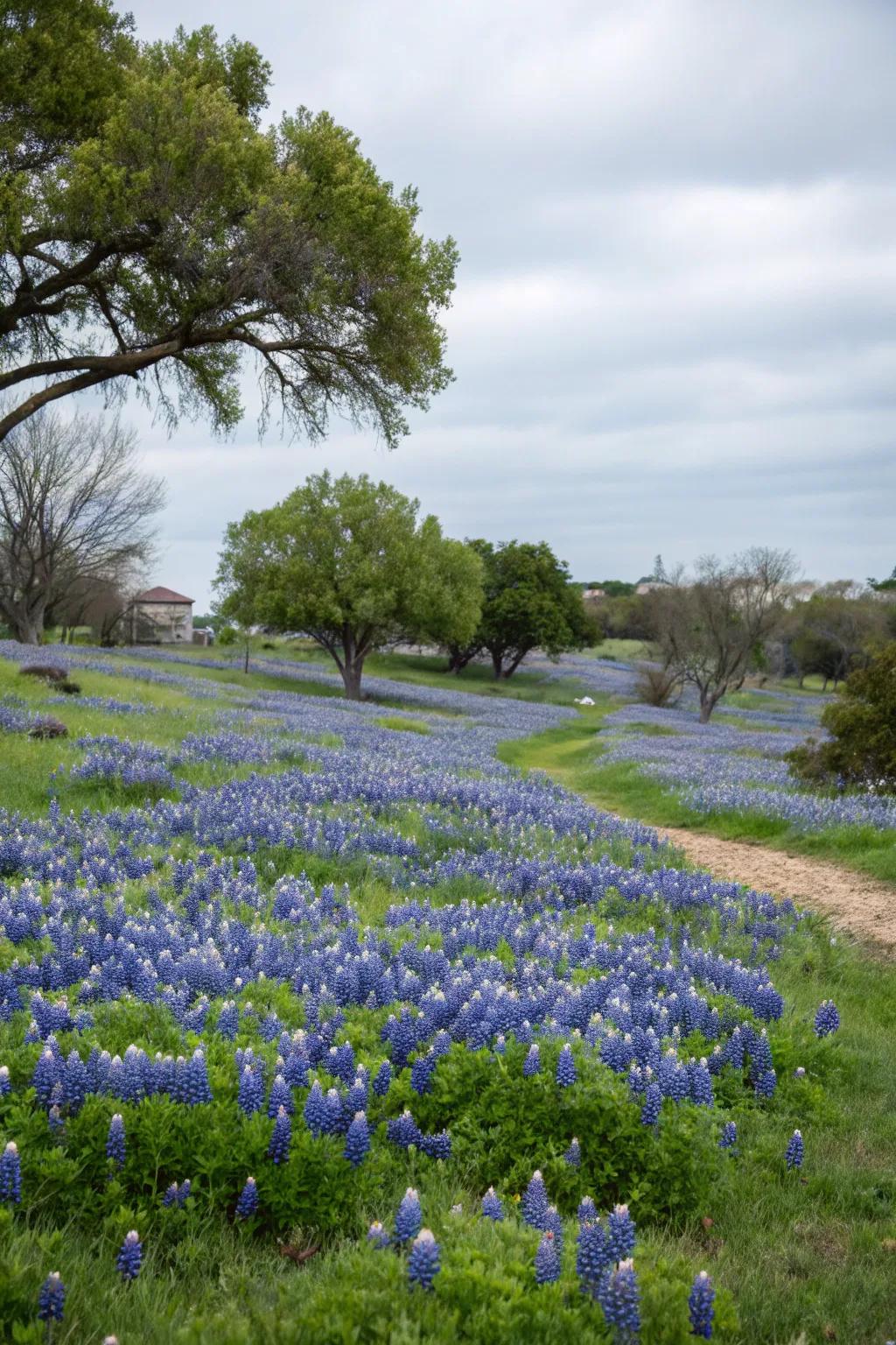 Native plants thriving and attracting local pollinators.