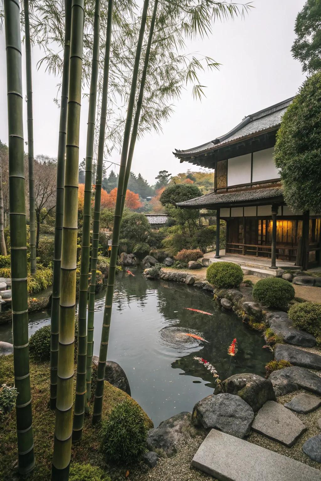 Tall bamboo adding vertical interest to a Japanese garden.