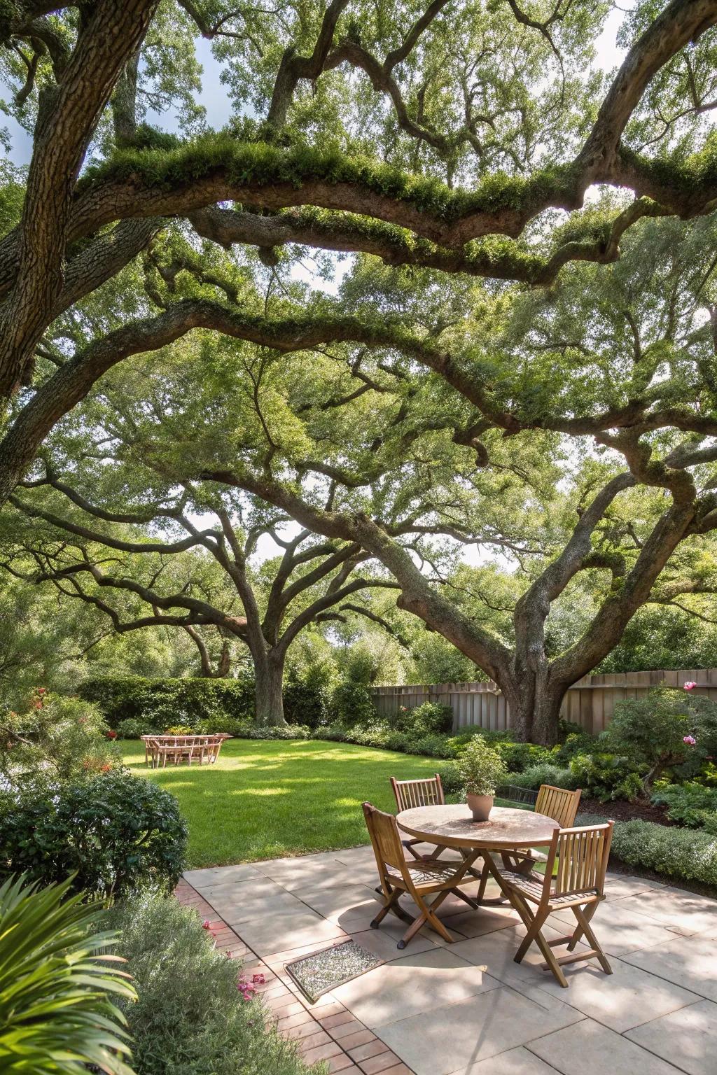 Canopy trees create a natural retreat from the sun.