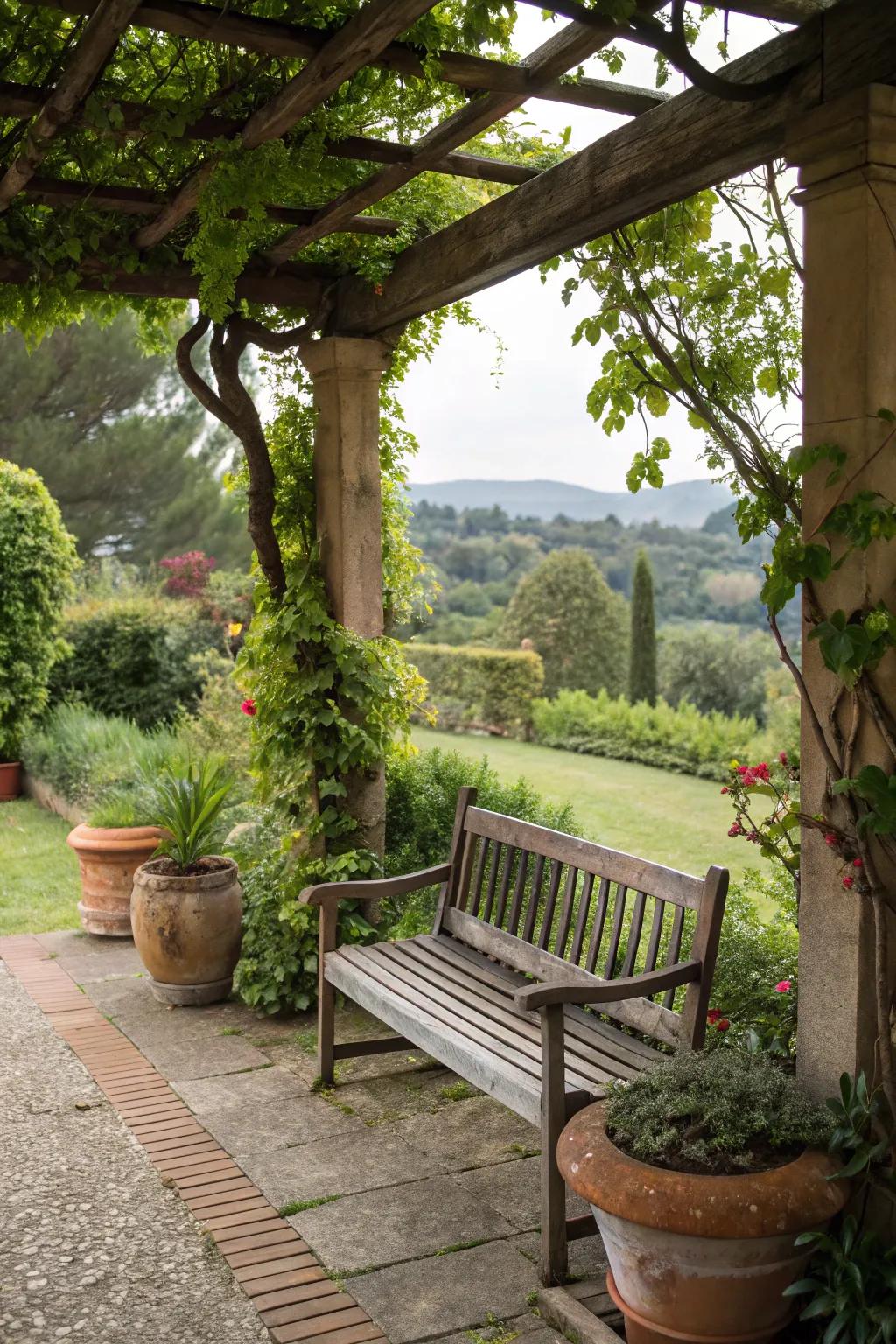A wooden bench transforms a pergola into a cozy retreat.