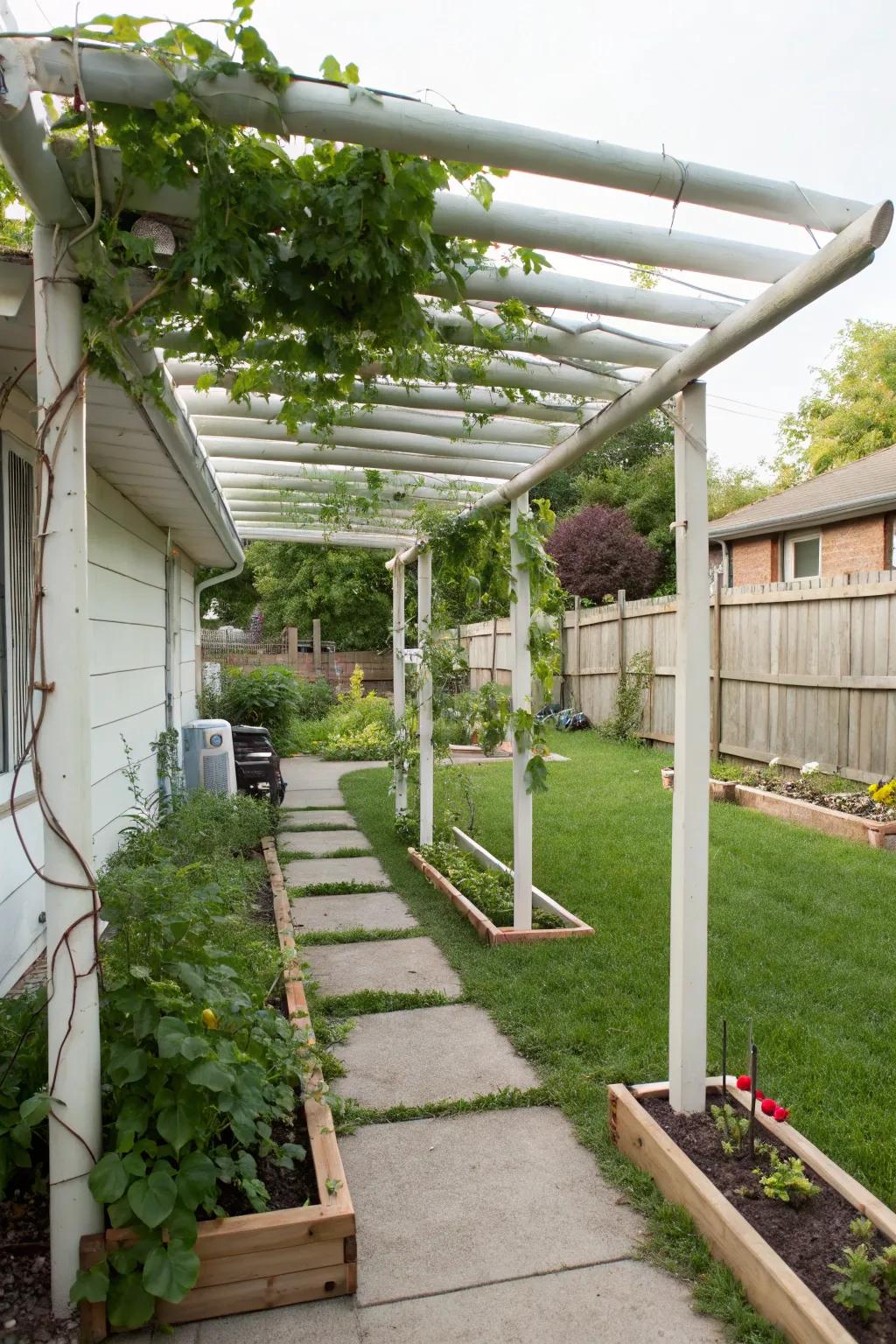 PVC pipes offer a lightweight and budget-friendly pergola structure.