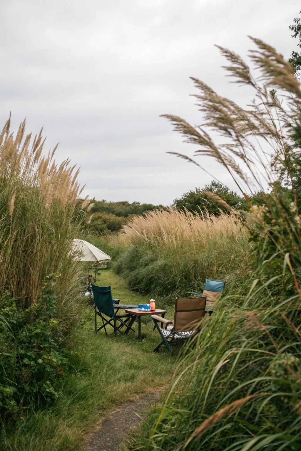 Natural privacy screens provide seclusion and beauty.