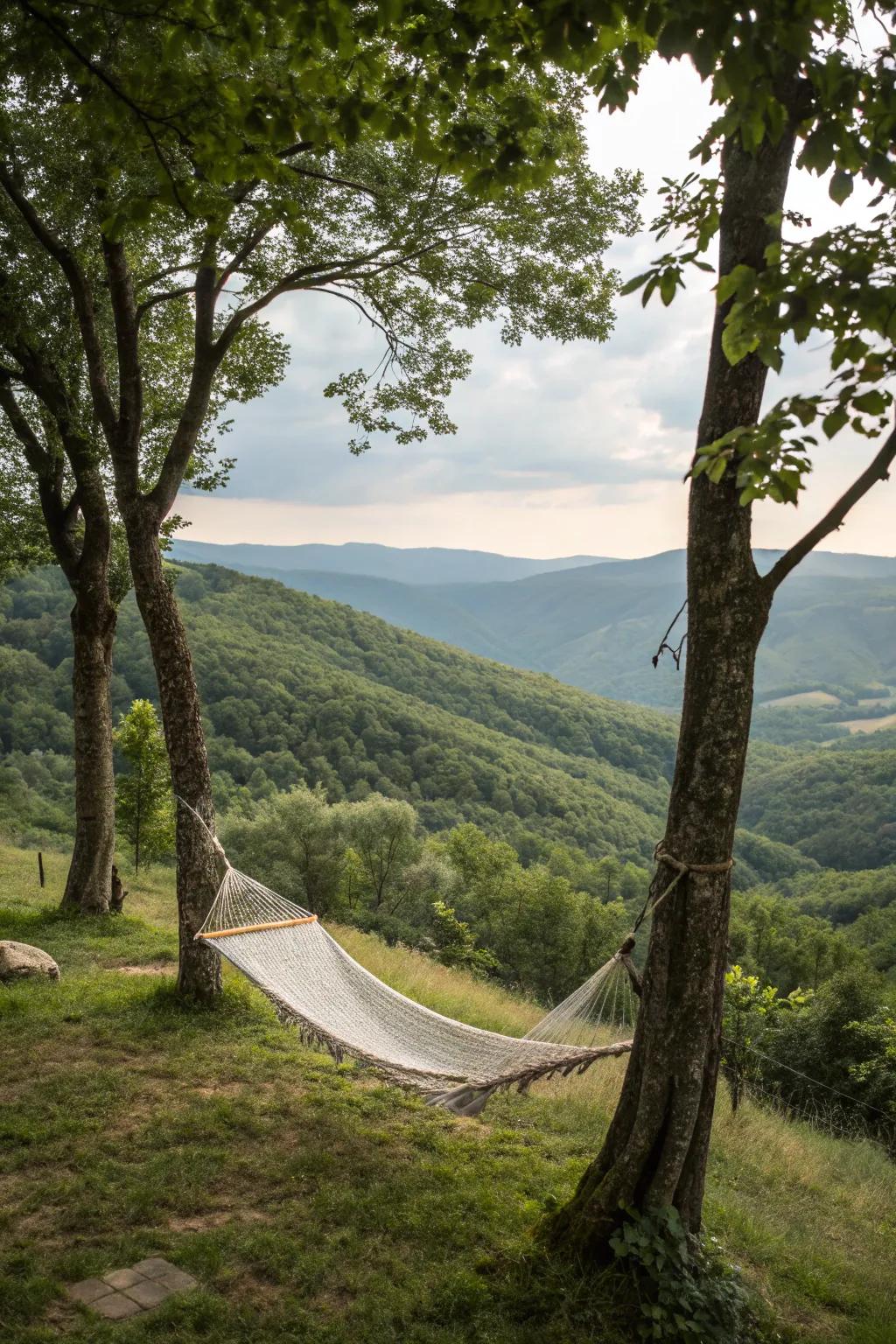 A hammock offers a relaxing spot to enjoy the garden.