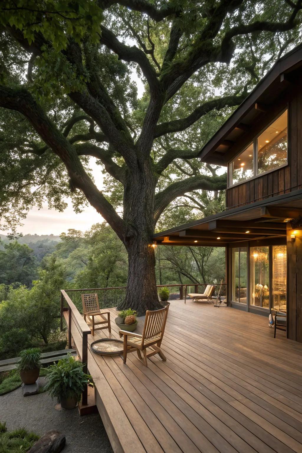 A unique deck design that harmoniously incorporates a central tree.