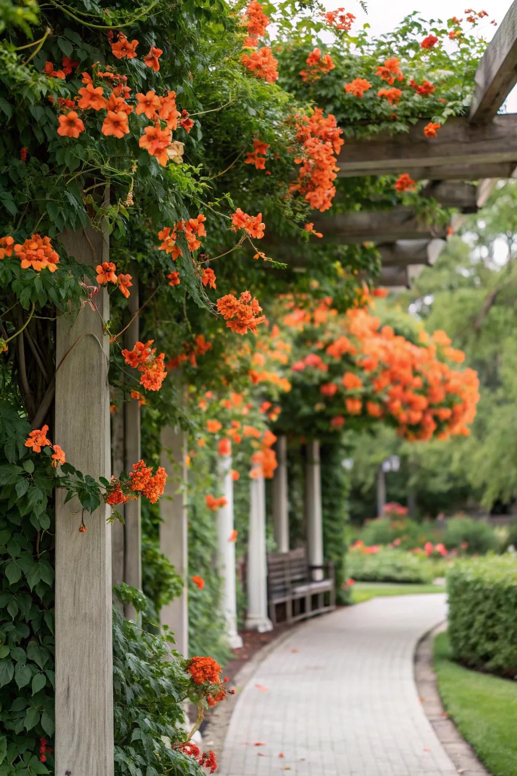 A colorful canopy creates a striking visual impact.