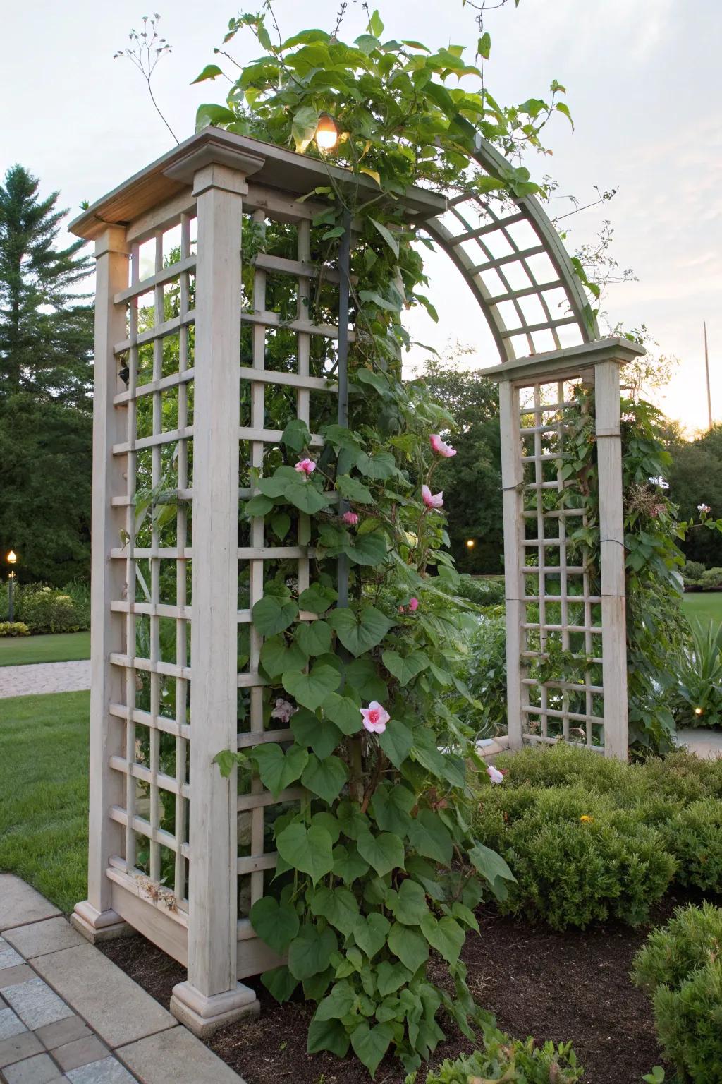 A trellis arbor provides structure for vibrant growth.