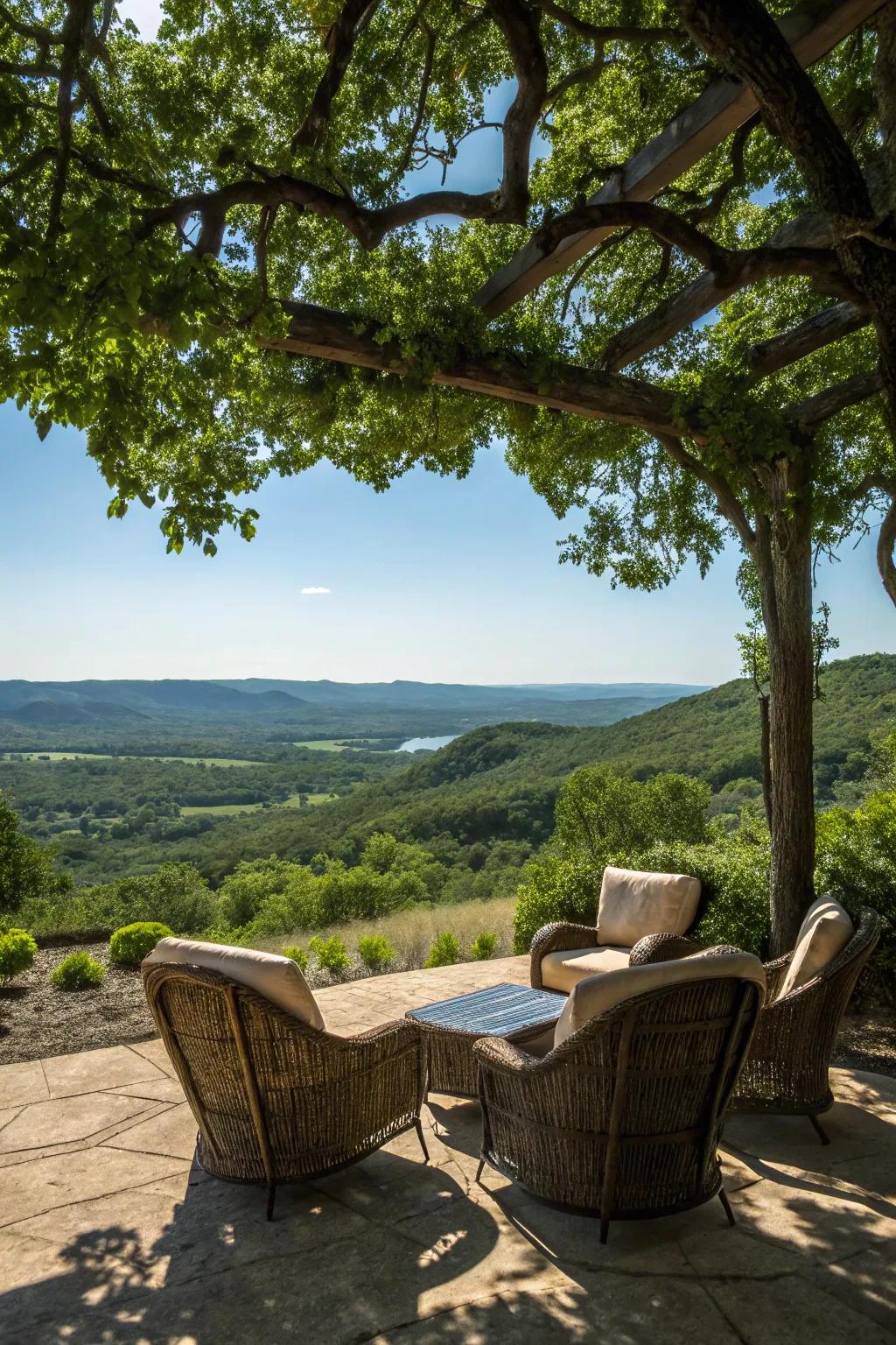 A tranquil seating area provides a perfect spot to enjoy the view.