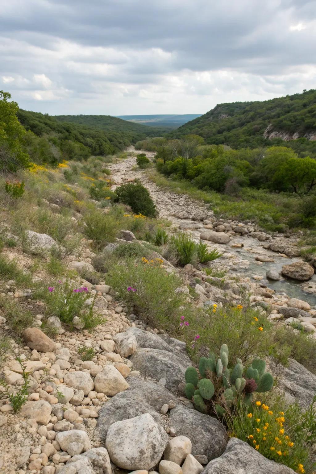A dry creek bed offers both beauty and functionality to the garden.