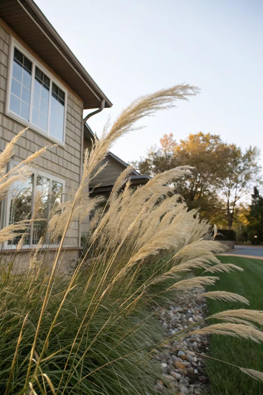 Ornamental grasses bring texture and movement.