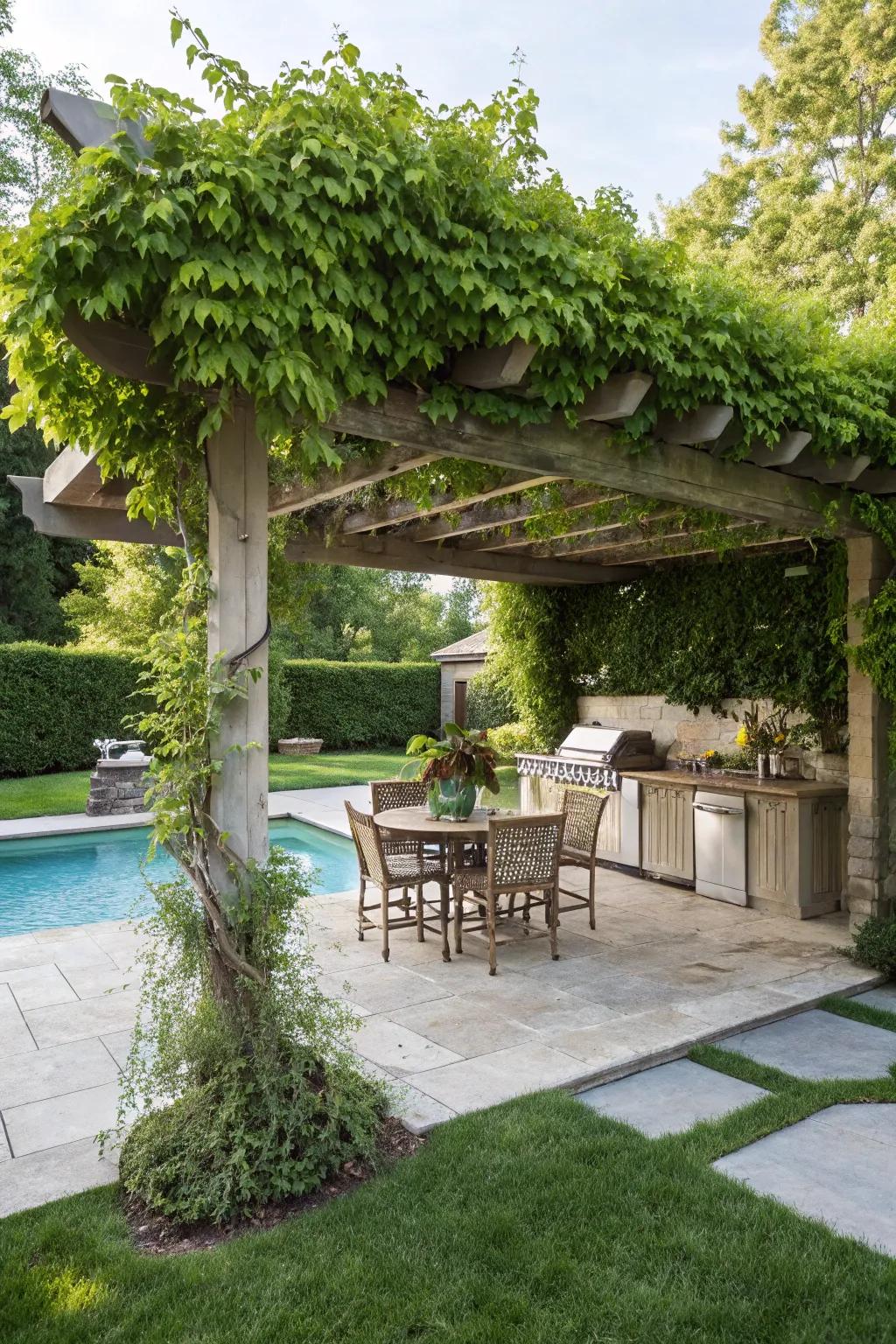 Add natural beauty and shade with climbing vines.