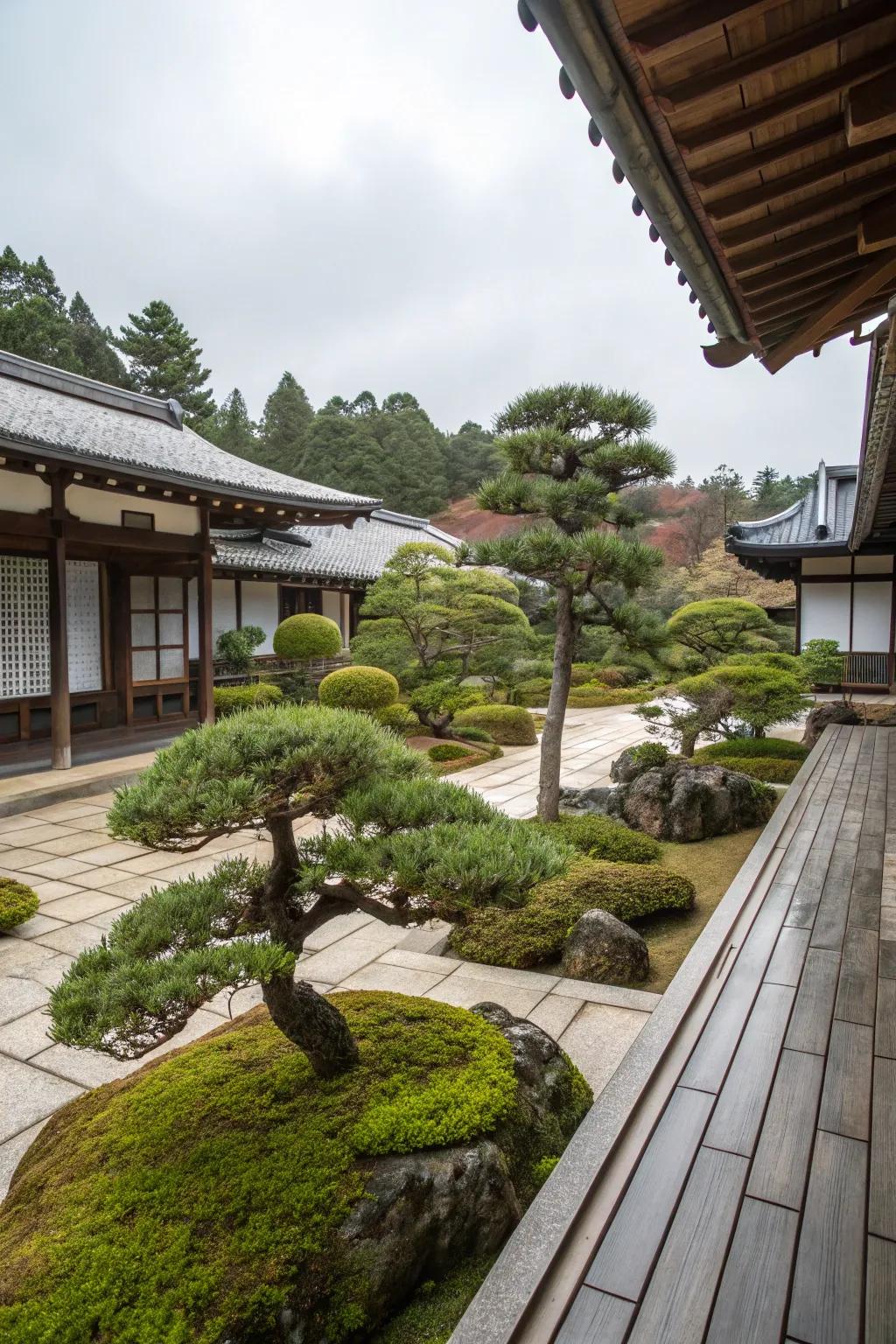 Beautifully shaped bonsai trees add character and depth to the patio.
